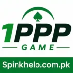 1PPP